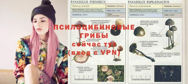 mdpv Зеленокумск