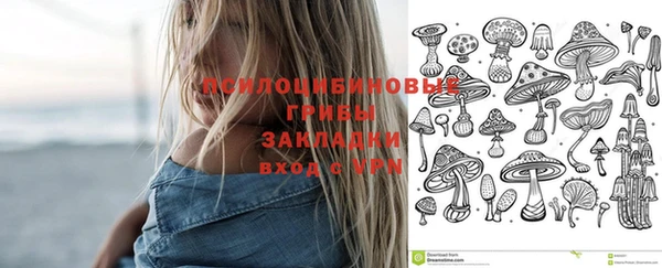 тгк Няндома