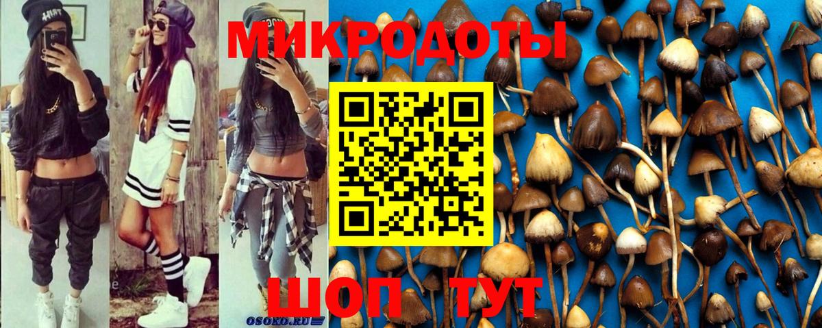Псилоцибиновые грибы Psilocybine cubensis Костомукша