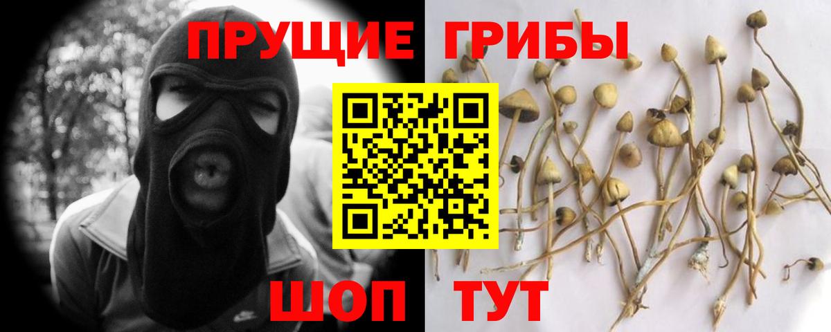 Псилоцибиновые грибы Magic Shrooms  Вход с VPN  Костомукша 